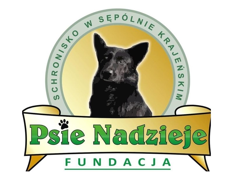 Co się stało z psami?