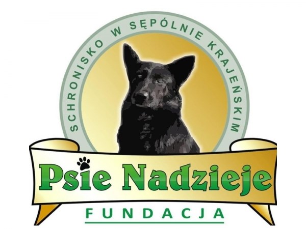 Co się stało z psami?