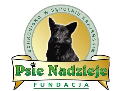 Co się stało z psami?