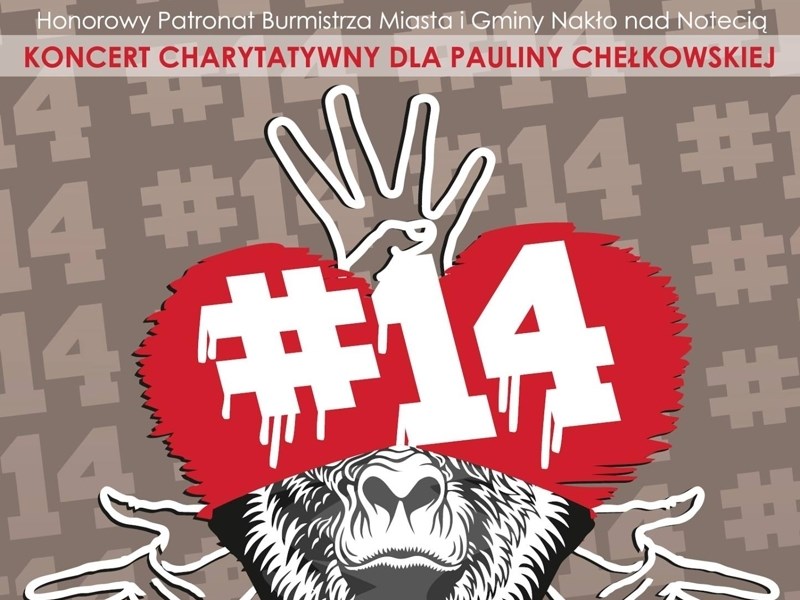 Koncert charytatywny dla Pauliny Chełkowskiej