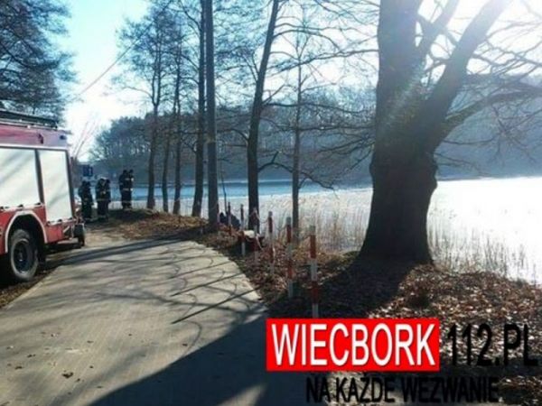 Martwy łabędź nad jeziorem!
