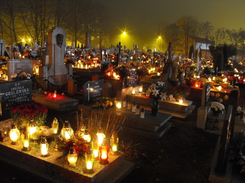 "ZNICZ 2016" w powiecie sępoleńskim