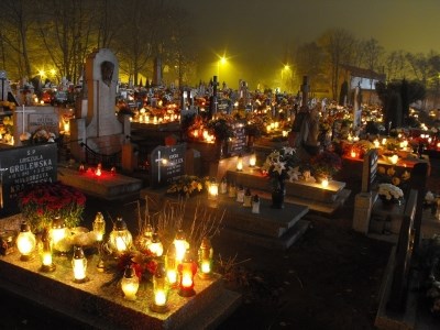 "ZNICZ 2016" w powiecie sępoleńskim