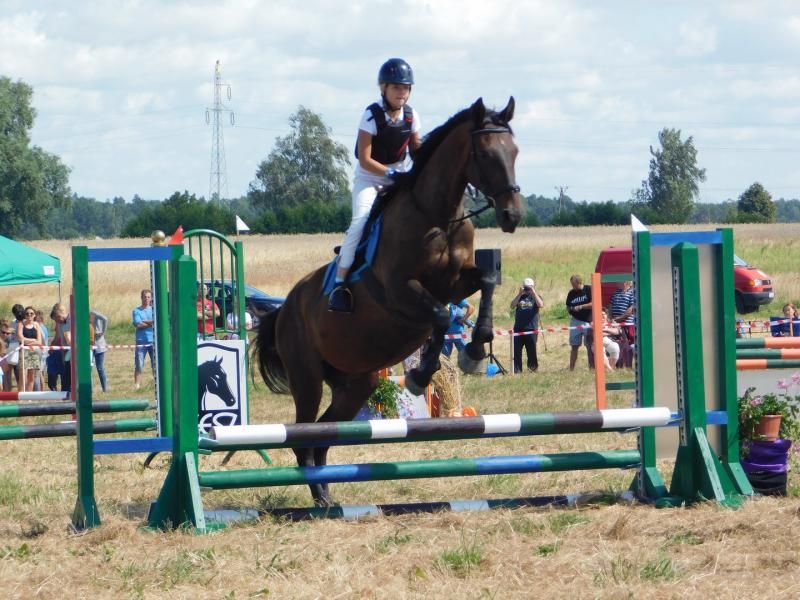 Zawody Jeździeckie w Sępólnie (FOTO)