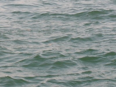 56-letni mężczyzna utonął w jeziorze w Zakrzewku