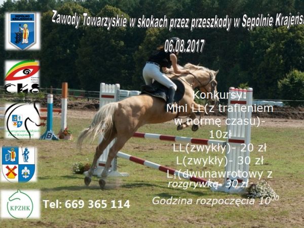 Zawody jeździeckie w Sępólnie