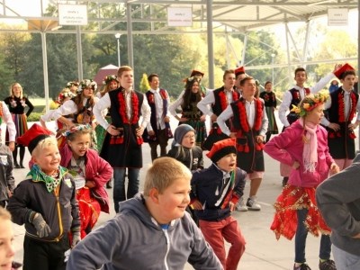 Wycięli hołubca w samo południe (FOTO)